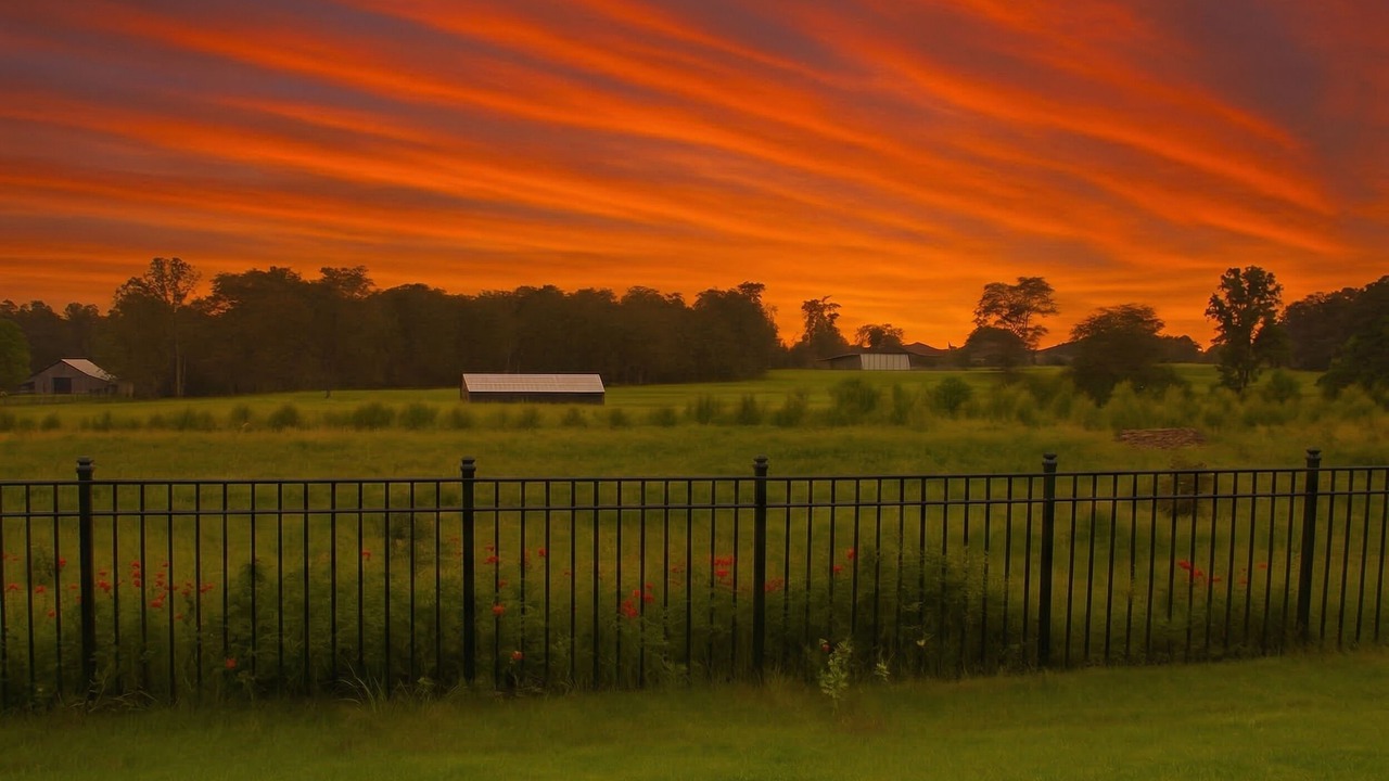 Photo of Others in Grovetown