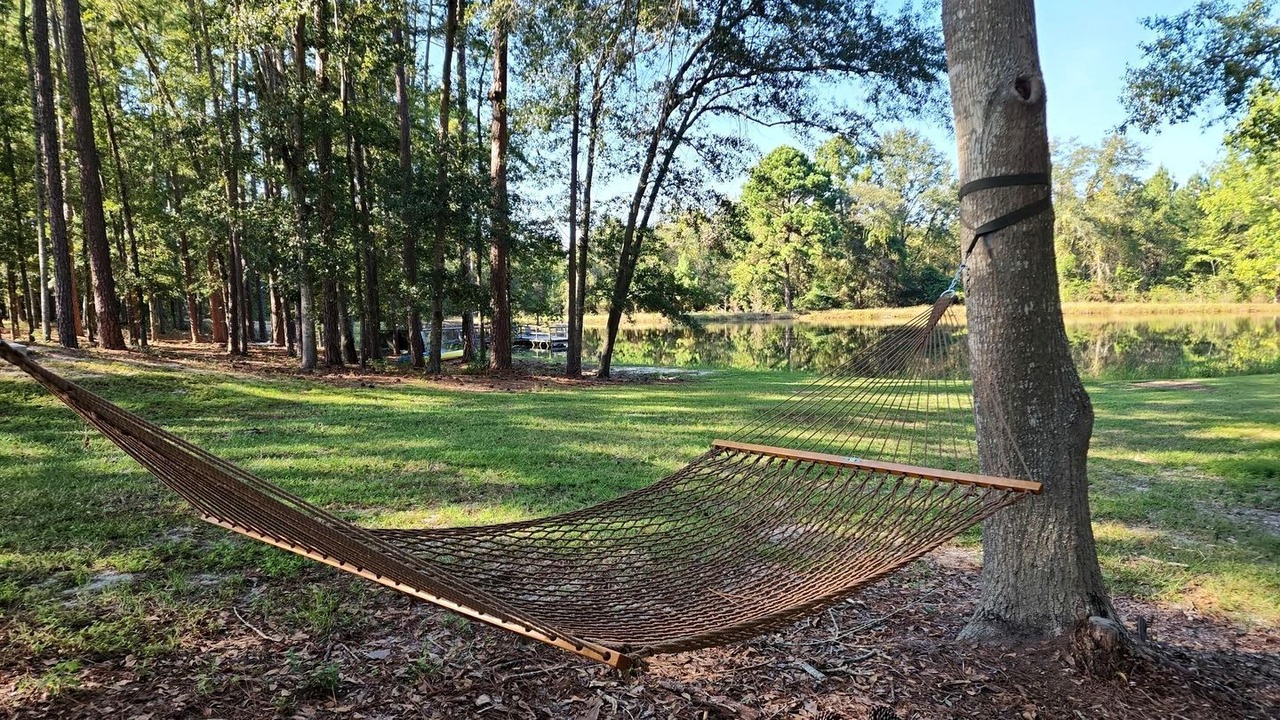 Photo of Outdoor in Claxton