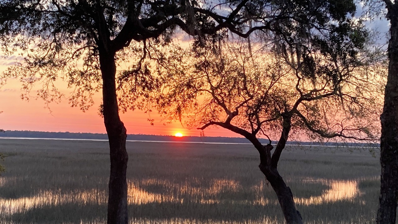 Photo of Outdoor in Knowles Island Plantation