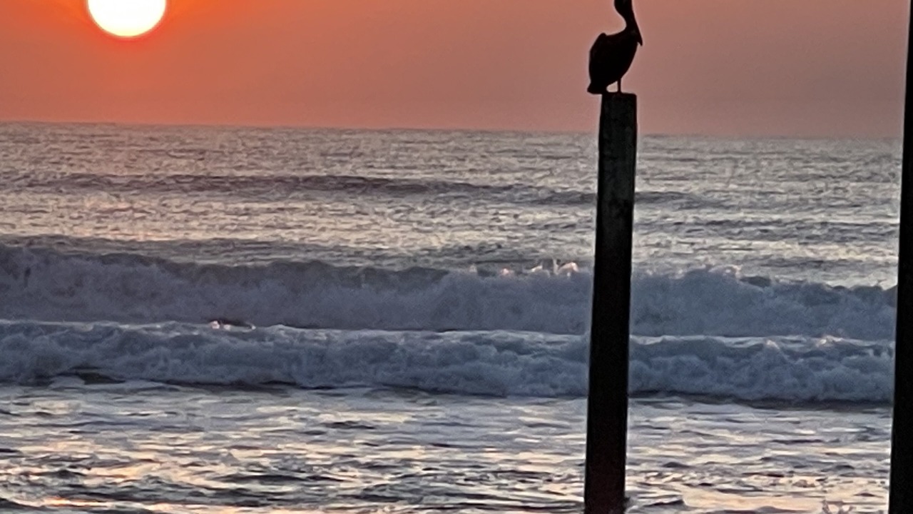 Photo of Others in Daytona Beach Shores