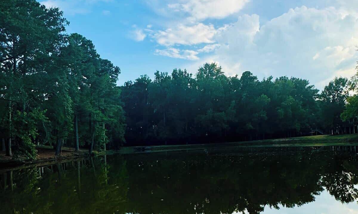 Photo of Others in Auburn