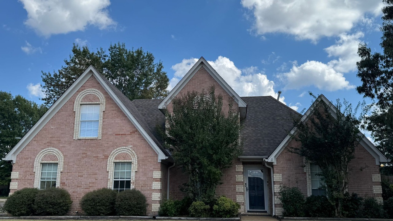 Photo of Outdoor in Olive Branch