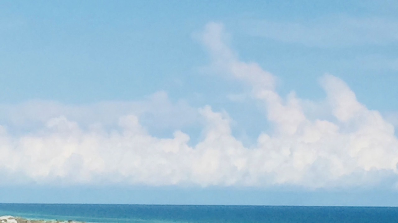 Photo of Others in Sandestin