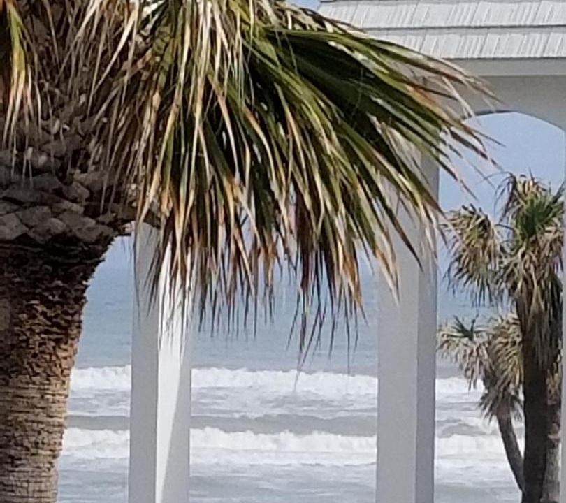 Photo of Others in New Smyrna Beach