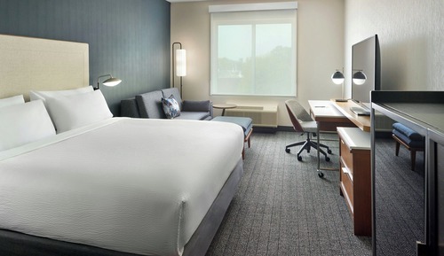 Room, 1 King Bed with Sofa bed, Hearing Accessible