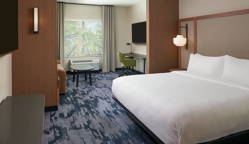 Room, 1 King Bed with Sofa bed, Hearing Accessible (Roll-in Shower)