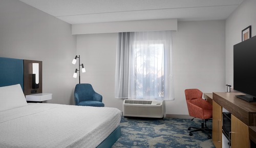 Room, 1 King Bed, Accessible, Non Smoking (Mobility, Bathtub)