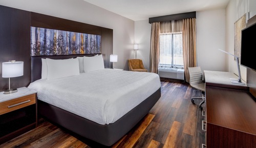 Standard Room, 1 King Bed, Non Smoking, Refrigerator & Microwave