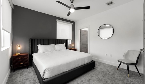 Luxury Apartment