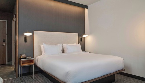 Room, 1 King Bed with Sofa bed