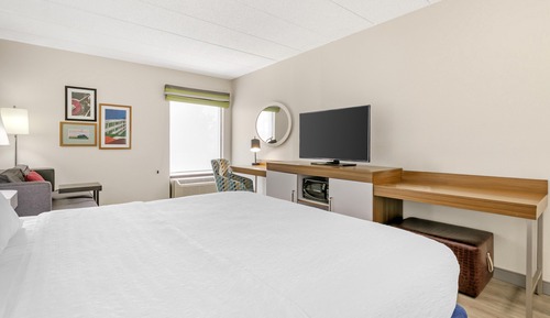 Room, 1 King Bed with Sofa bed, Accessible, Bathtub