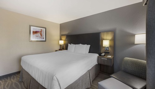 Standard Room, 1 King Bed, Non Smoking, Refrigerator