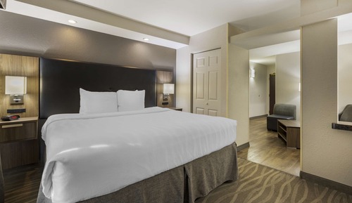 Suite, 1 King Bed, Non Smoking, Refrigerator & Microwave (with Sofabed)