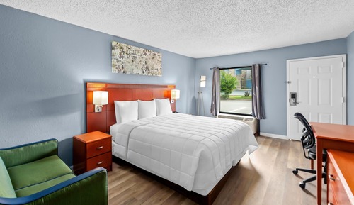 Room, 1 King Bed