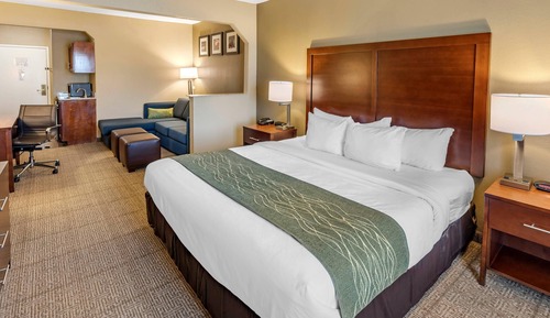 Standard Suite, 1 King Bed with Sofa bed, Non Smoking