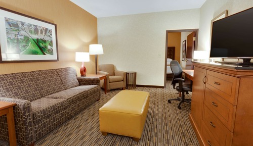 Suite, 1 King Bed with Sofa bed, Accessible (Sofa Sleeper, Roll-in Shower, 2 Rooms)