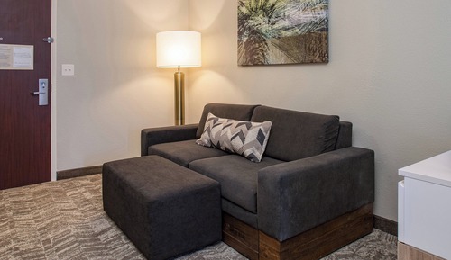 Suite, 1 King Bed with Sofa bed