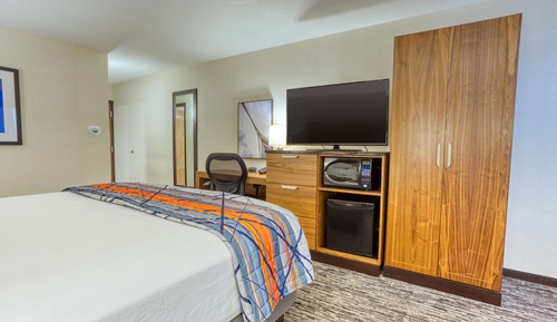 Room, 1 King Bed