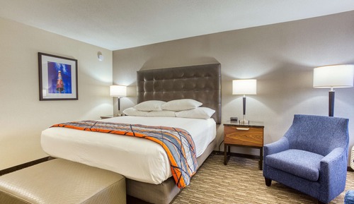 Room, 1 King Bed with Sofa bed (Sofa Sleeper)