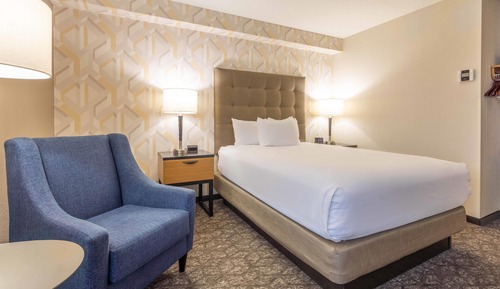 Room, 1 Queen Bed