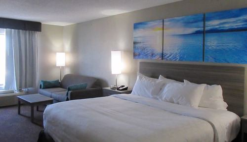 Standard Room, 1 King Bed, Non Smoking, Jetted Tub