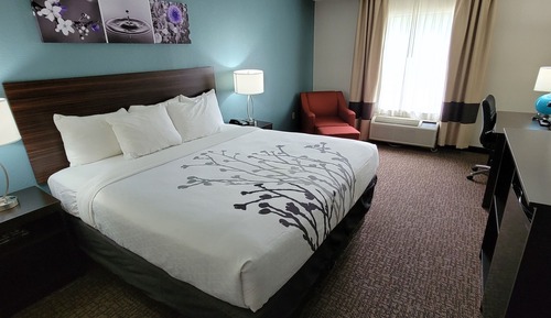 Standard Room, 1 King Bed, Non Smoking