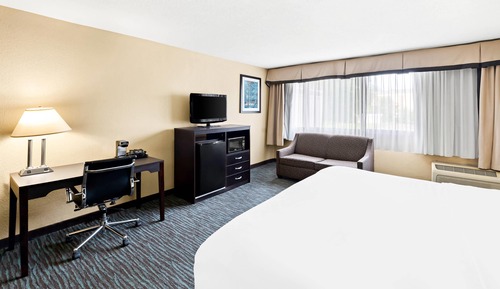 Room, 1 King Bed with Sofa bed, Non Smoking, Jetted Tub