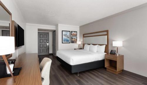 Executive King Room - Poolside