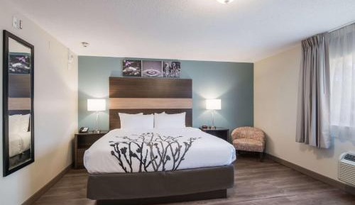 1-Bedroom King Suite Nonsmoking